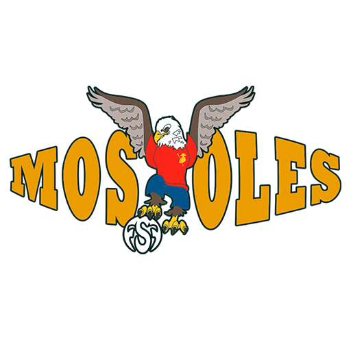 MRB Móstoles FSF