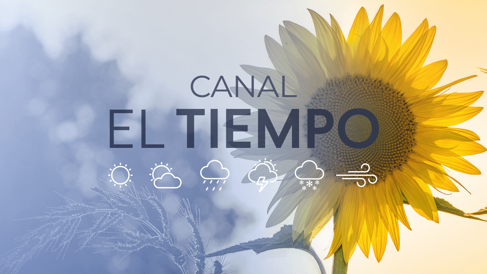 EL TIEMPO