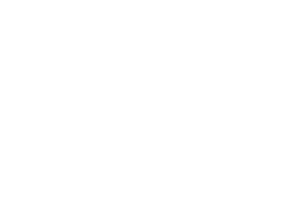 LA JORNADA