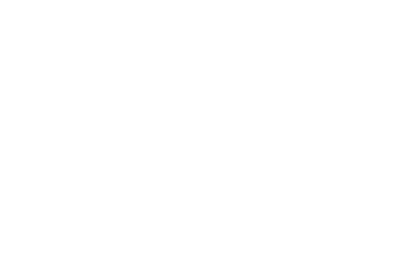 ARAGÓN EN PLENO