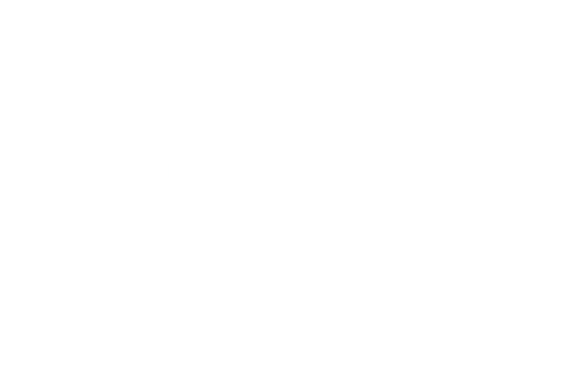 ARAGÓN EN PLENO