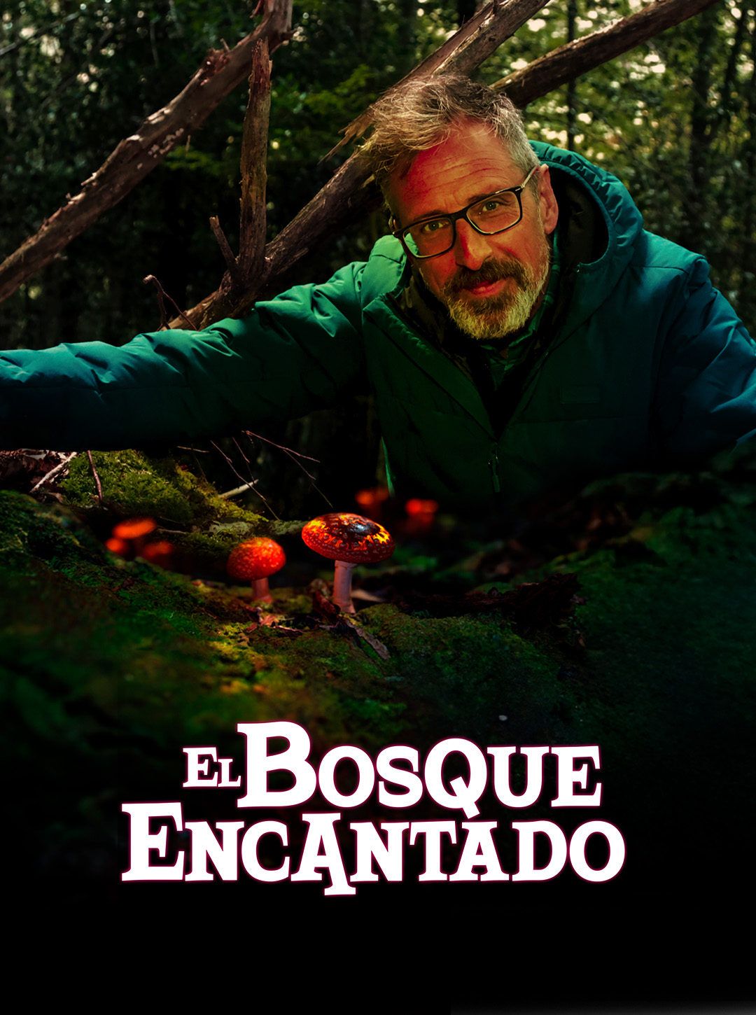 EL BOSQUE ENCANTADO