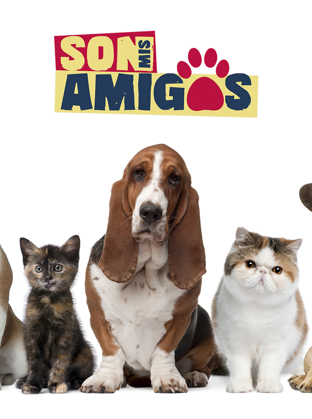 SON MIS AMIGOS