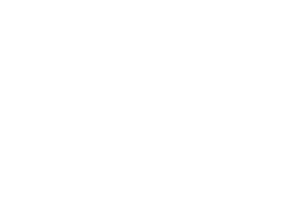 OBJETIVO