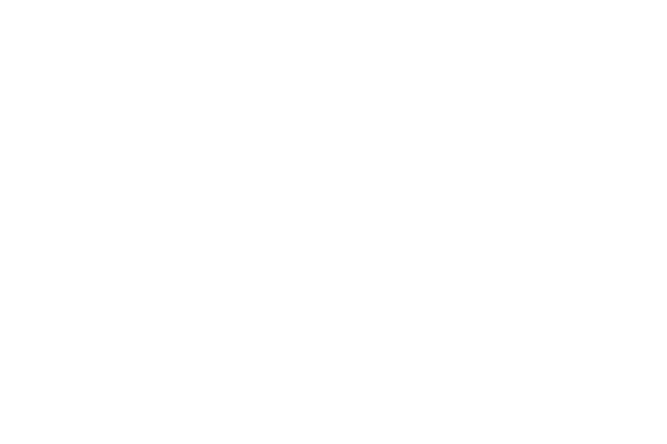 GOYA: EL ÚLTIMO CAPRICHO