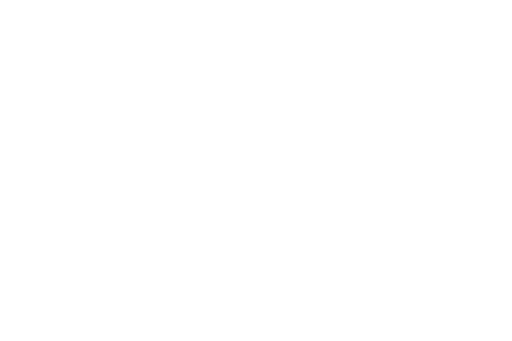 GOYA: EL ÚLTIMO CAPRICHO
