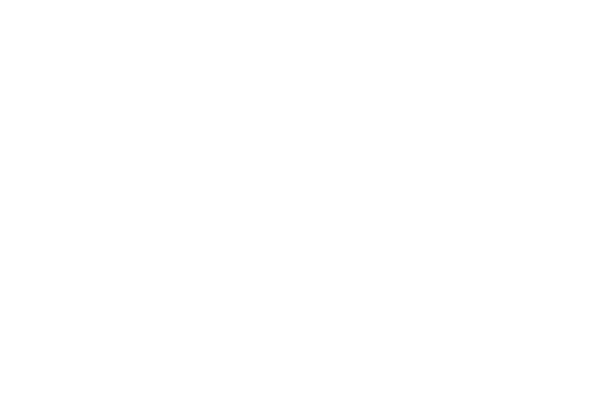 LA ROMAREDA