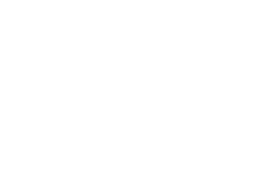 LA ROMAREDA