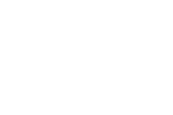 ESPECIAL FIESTAS SAN LORENZO