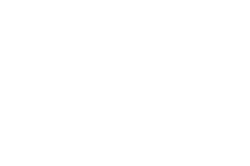 ESPECIAL FIESTAS SAN LORENZO