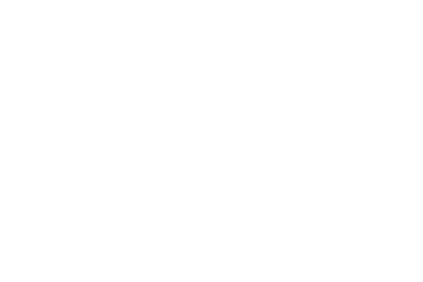 EL ÚLTIMO SHOW