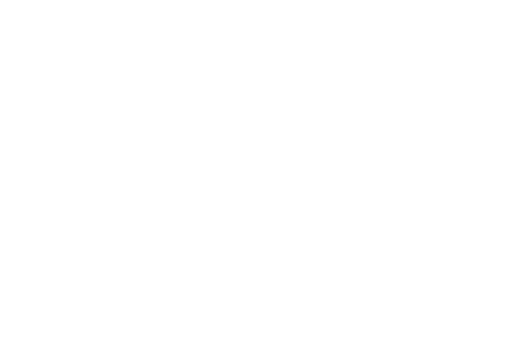 EL ÚLTIMO SHOW