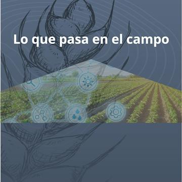 LO QUE PASA EN EL CAMPO