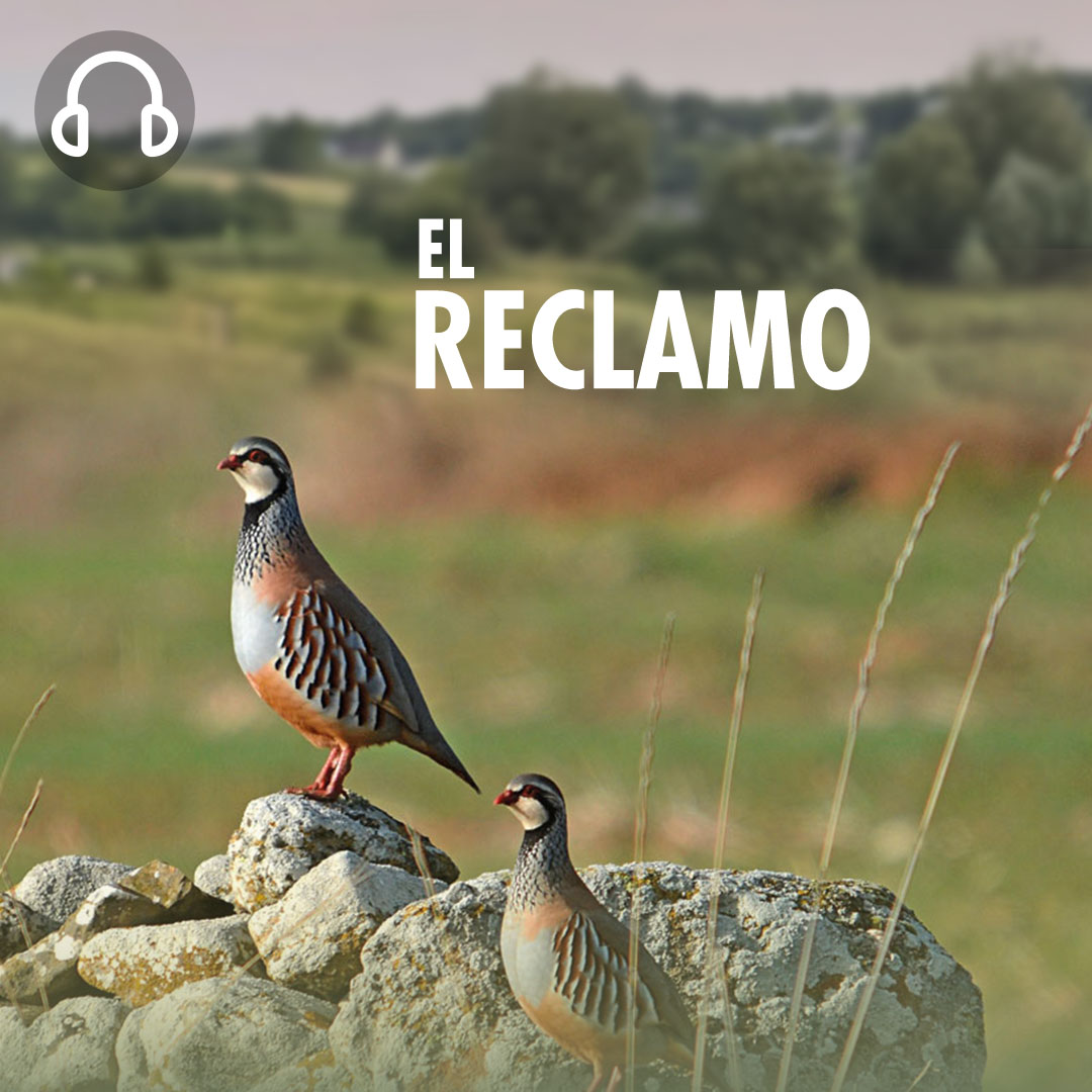 EL RECLAMO