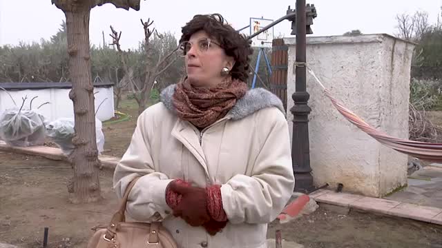 OREGÓN TV - Capítulo 21