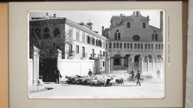 VUELTA ATRÁS - Capítulo 8