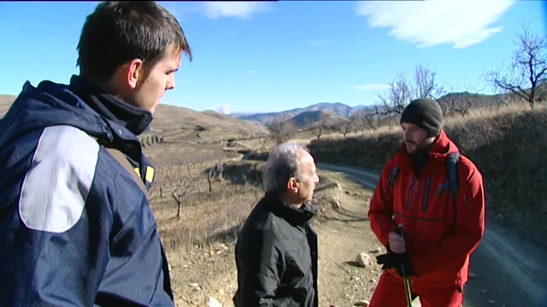 Alcornocal de Sestrica, el último de Aragón