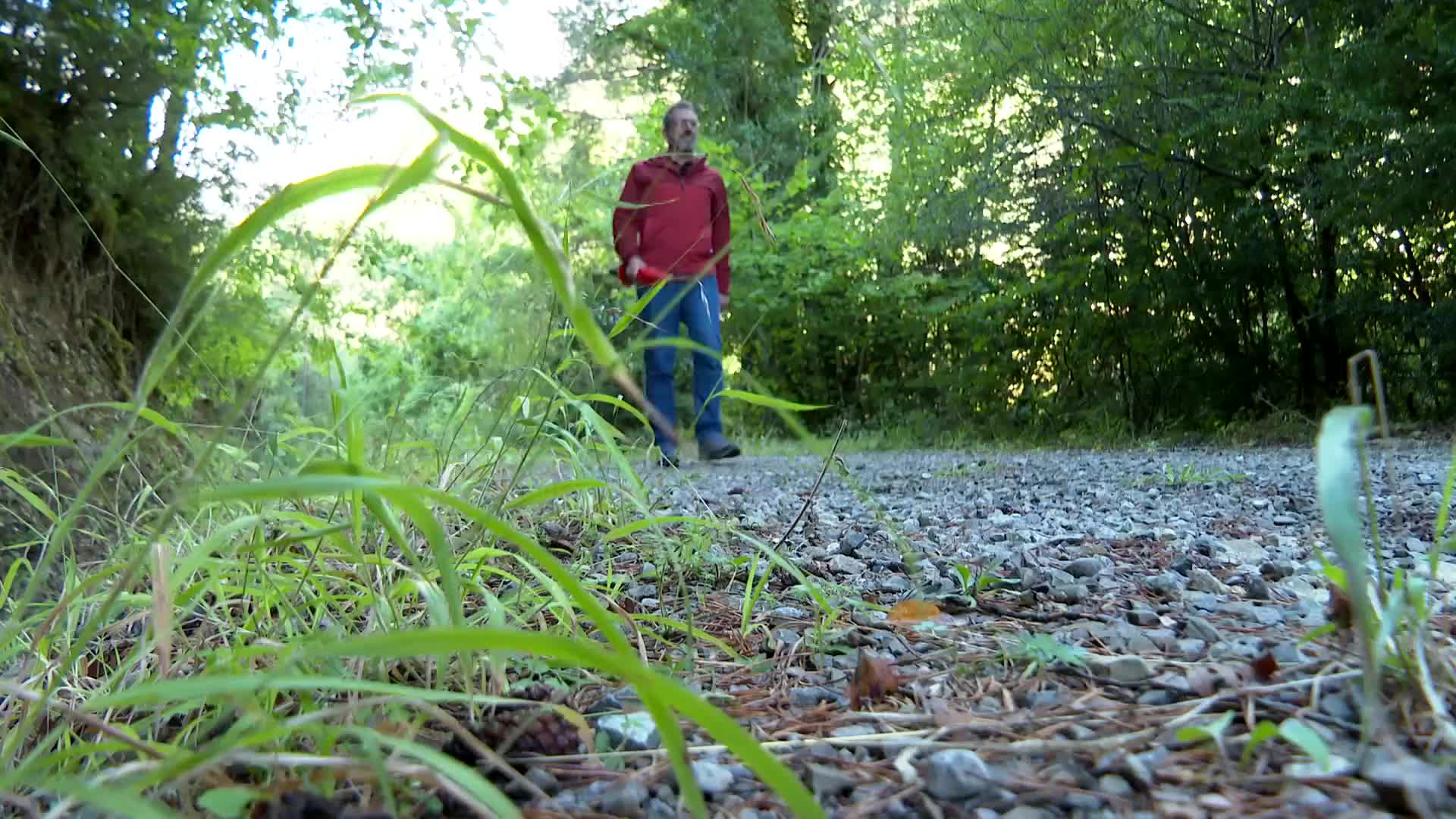 Un bosque bajo Peña Canciás (Huesca)