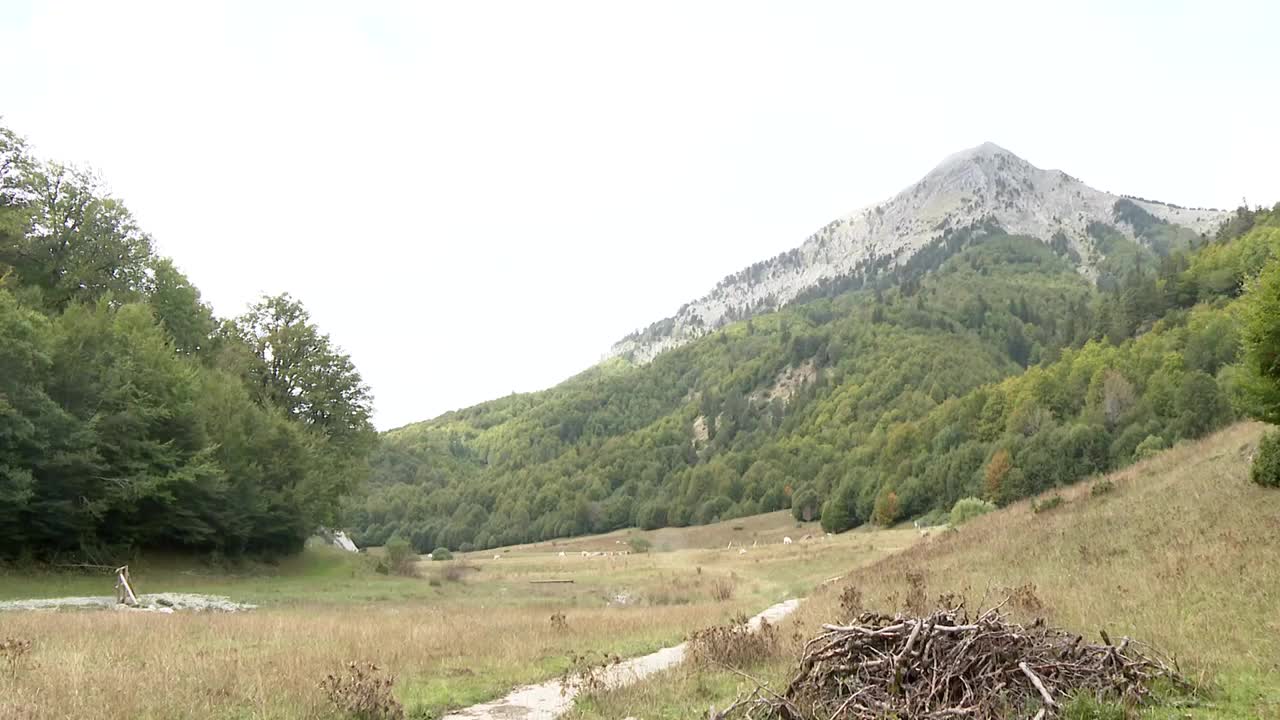 Bosques de Ansó (Huesca)