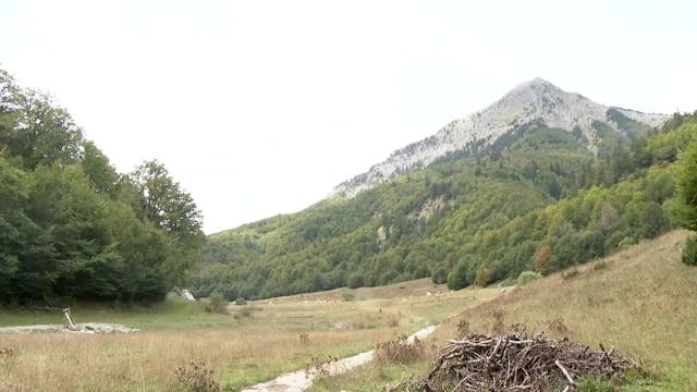 Bosques de Ansó (Huesca)
