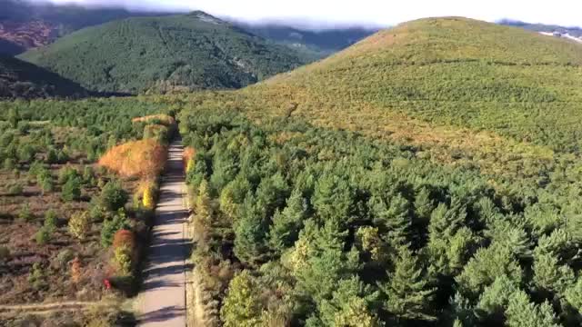Parque Natural del Moncayo (Zaragoza)