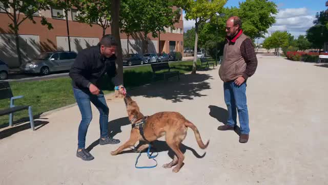 SON MIS AMIGOS - Capítulo 8