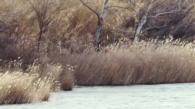 El refugio del nómada