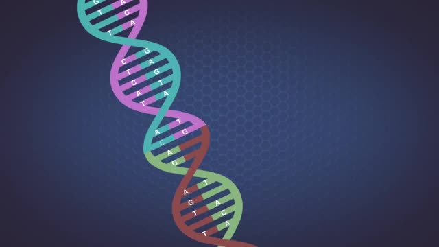Los secretos de nuestros genes