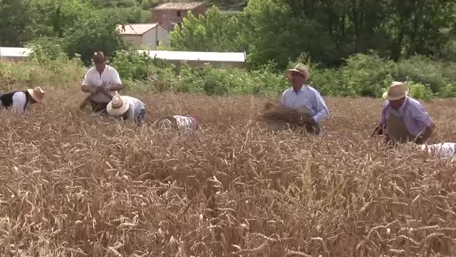 Feria de los oficios perdidos en Lituénigo