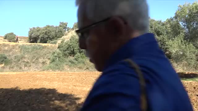 Fiesta de la siembra y Escobas de Brezo