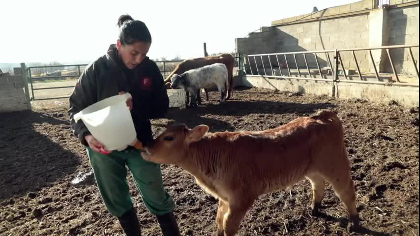 EL CAMPO ES NUESTRO - 2025-12-29