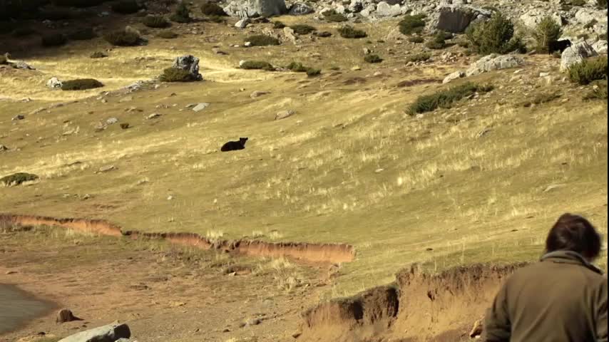 EL CAMPO ES NUESTRO - 2025-12-19
