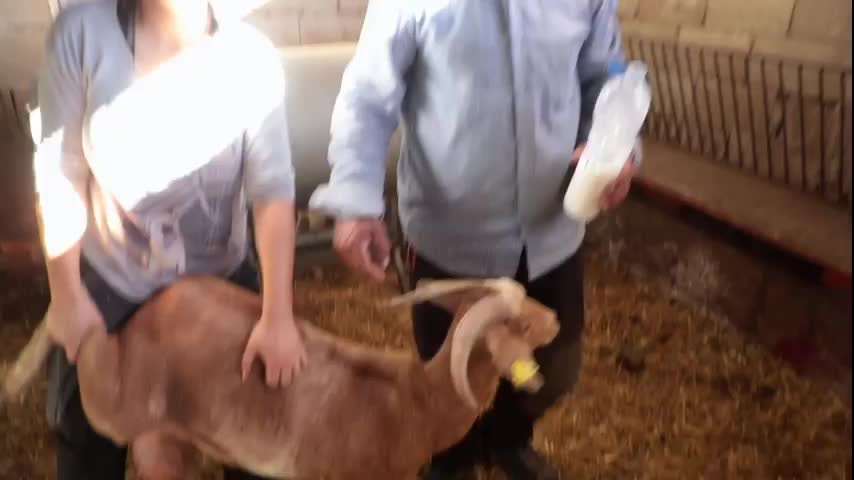 EL CAMPO ES NUESTRO - 2025-12-15