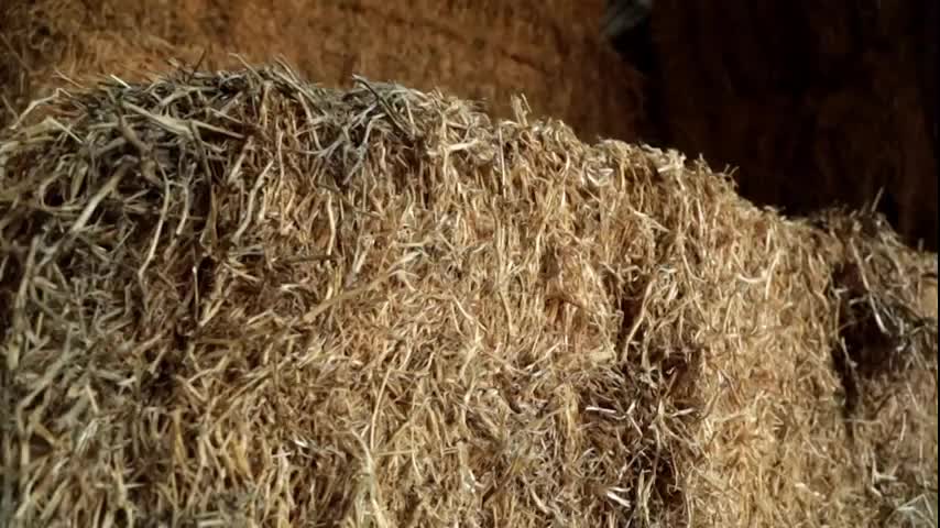 EL CAMPO ES NUESTRO - 2025-12-08