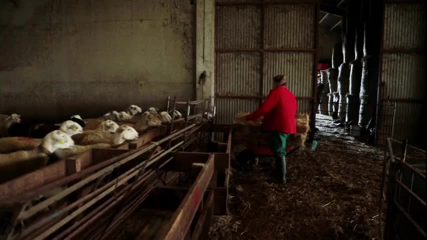 EL CAMPO ES NUESTRO - 2025-11-05