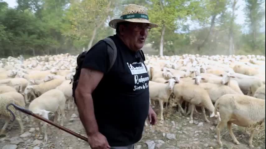 EL CAMPO ES NUESTRO - 2025-10-09