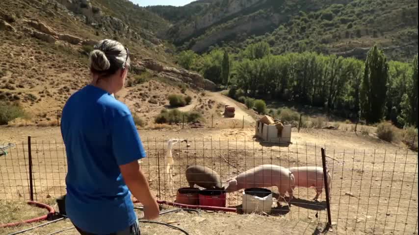 EL CAMPO ES NUESTRO - 2025-10-30