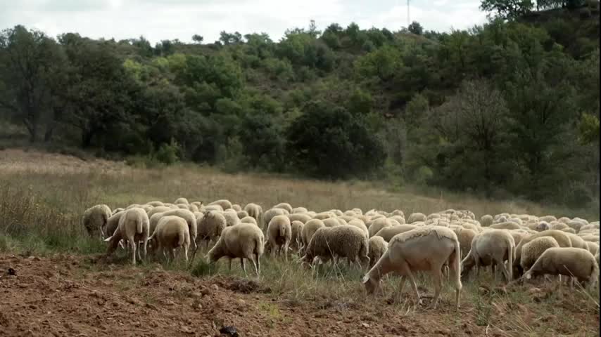 EL CAMPO ES NUESTRO - 2025-10-15