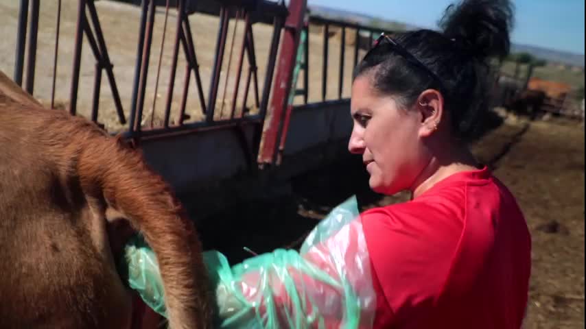 EL CAMPO ES NUESTRO - 2025-10-23