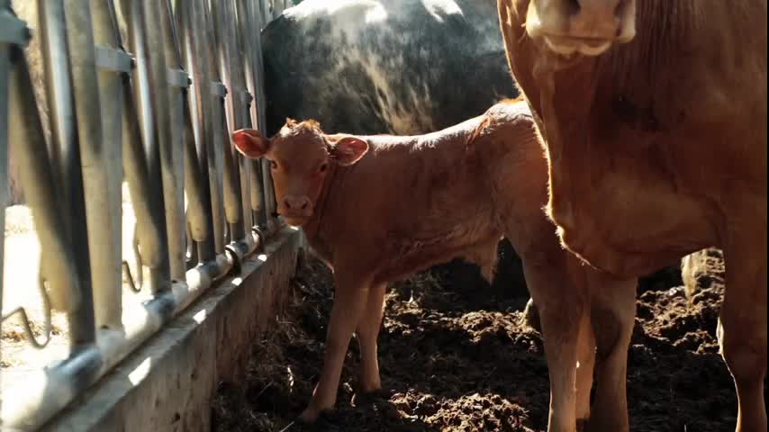 EL CAMPO ES NUESTRO - 2025-10-29