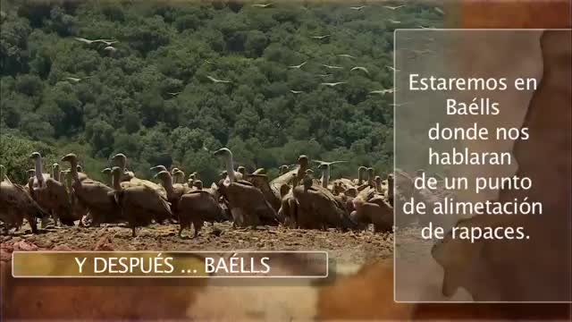 El Frago y Baells
