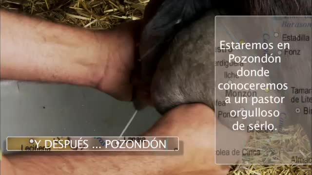 Calmarza y Pozondón