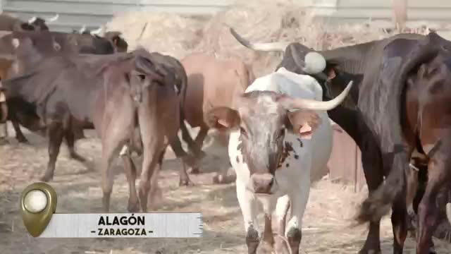 VANITY FARM - Capítulo 23