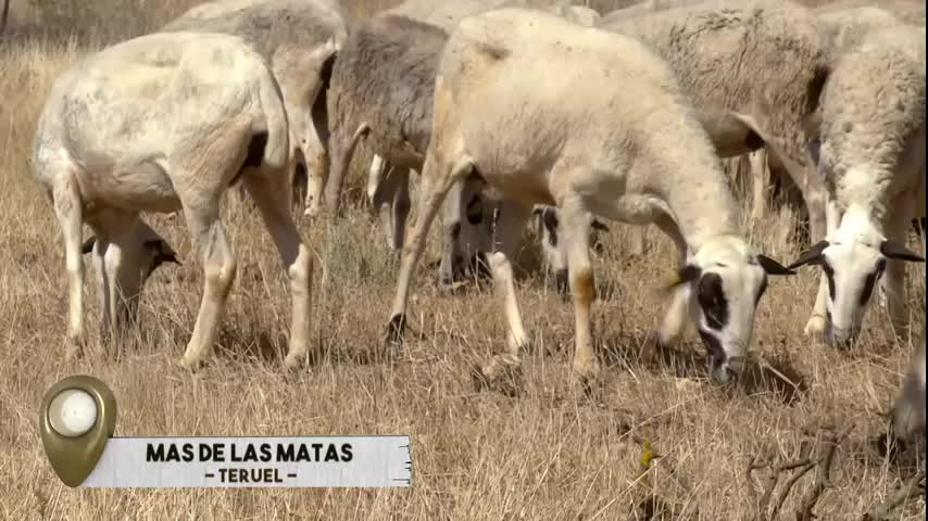 VANITY FARM - Capítulo 24