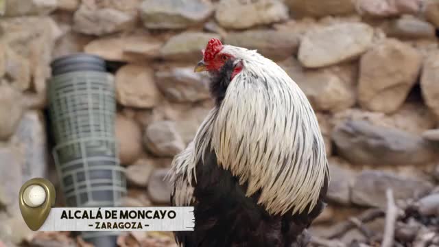 VANITY FARM - Capítulo 27