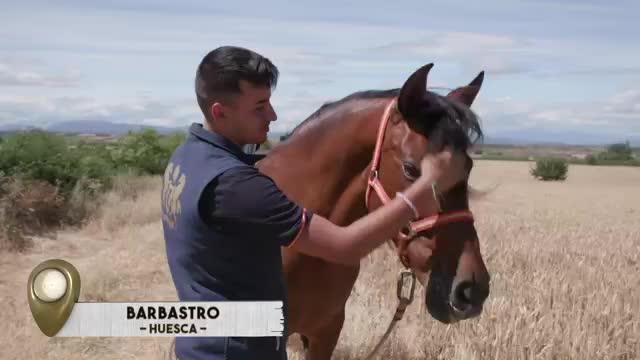 VANITY FARM - Capítulo 34
