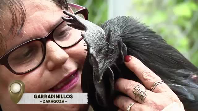 VANITY FARM - Capítulo 33