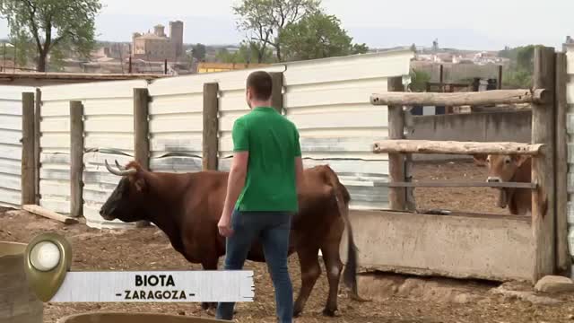 VANITY FARM - Capítulo 37
