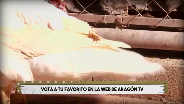 VANITY FARM - Capítulo 38