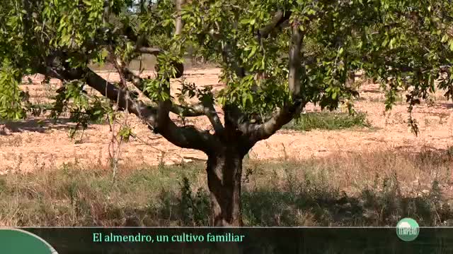 TEMPERO - Capítulo 4